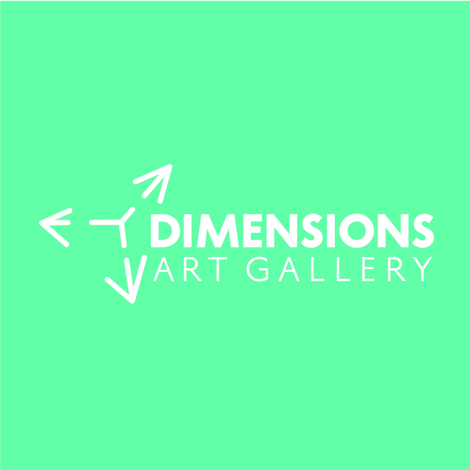 Dimensions Art Gallery – Swoon Creative Media